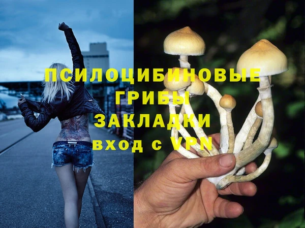 ECSTASY Бронницы