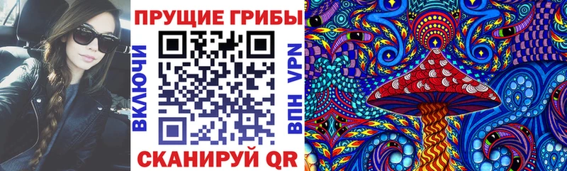 дарк нет телеграм  где продают наркотики  Выборг  Галлюциногенные грибы MAGIC MUSHROOMS 