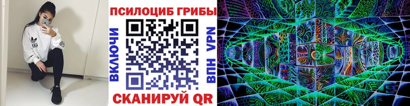 Галлюциногенные грибы Magic Shrooms Выборг